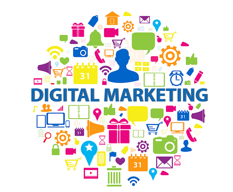 Best Digital Marketing Institute in Delhi Best Data Science Course in Delhi Best Data Analytics Institute in Delhi Best Graphic Designing Course in Delhi Best Video Editing Courses in Delhi Best E-Accounting Institute in Delhi Basic Computer Institute in Delhi Tally Institute in Delhi